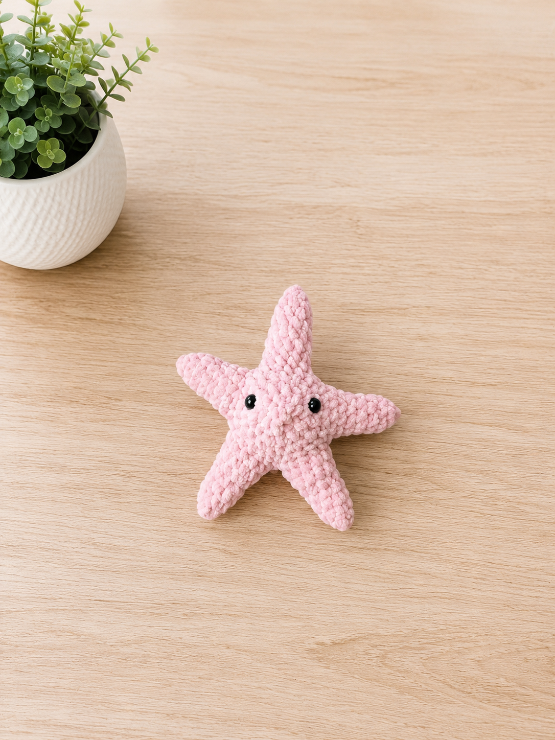 Sunny Seas Sea Stars Collection