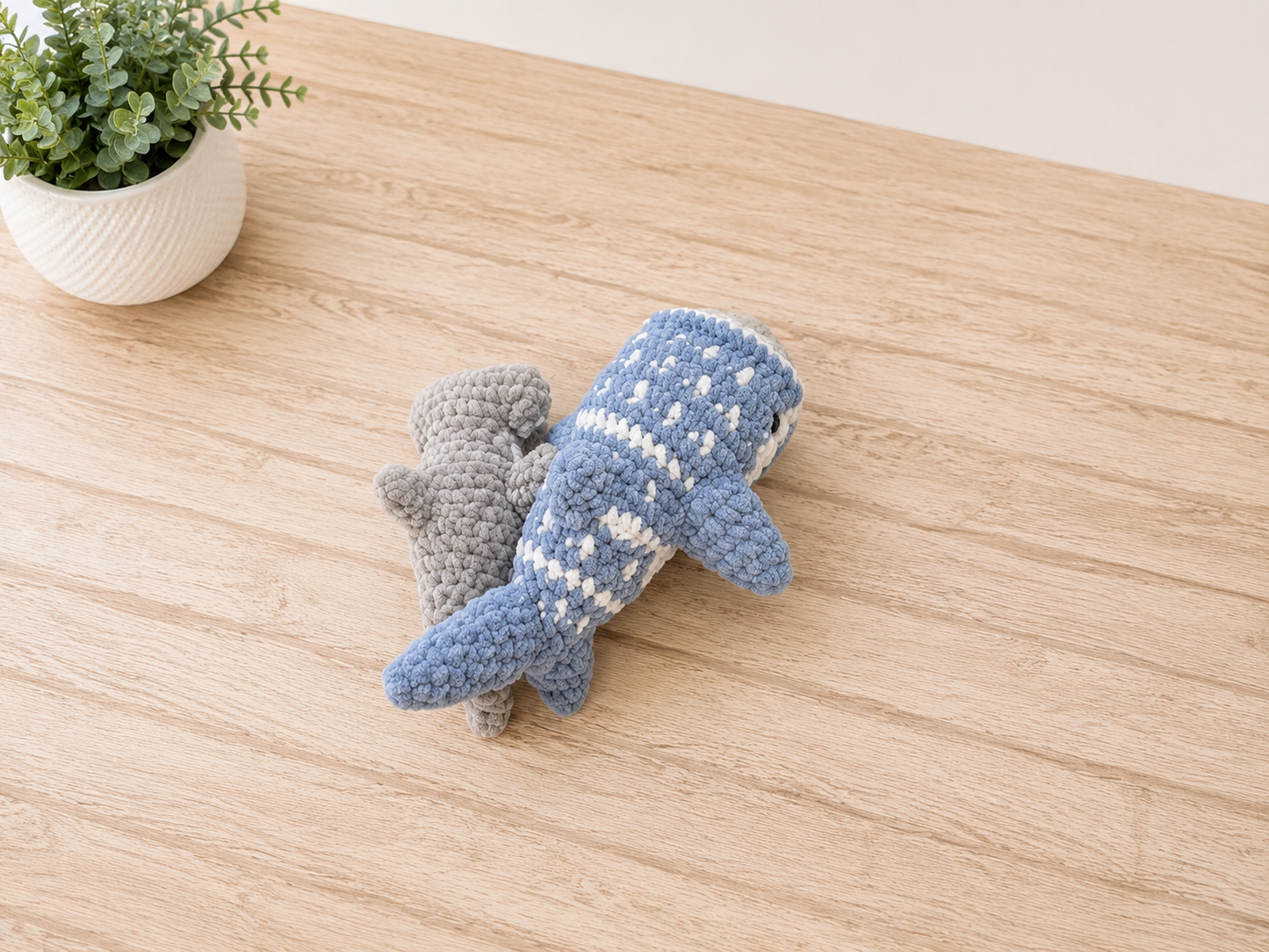 Sunny Seas Shark - whale Shark