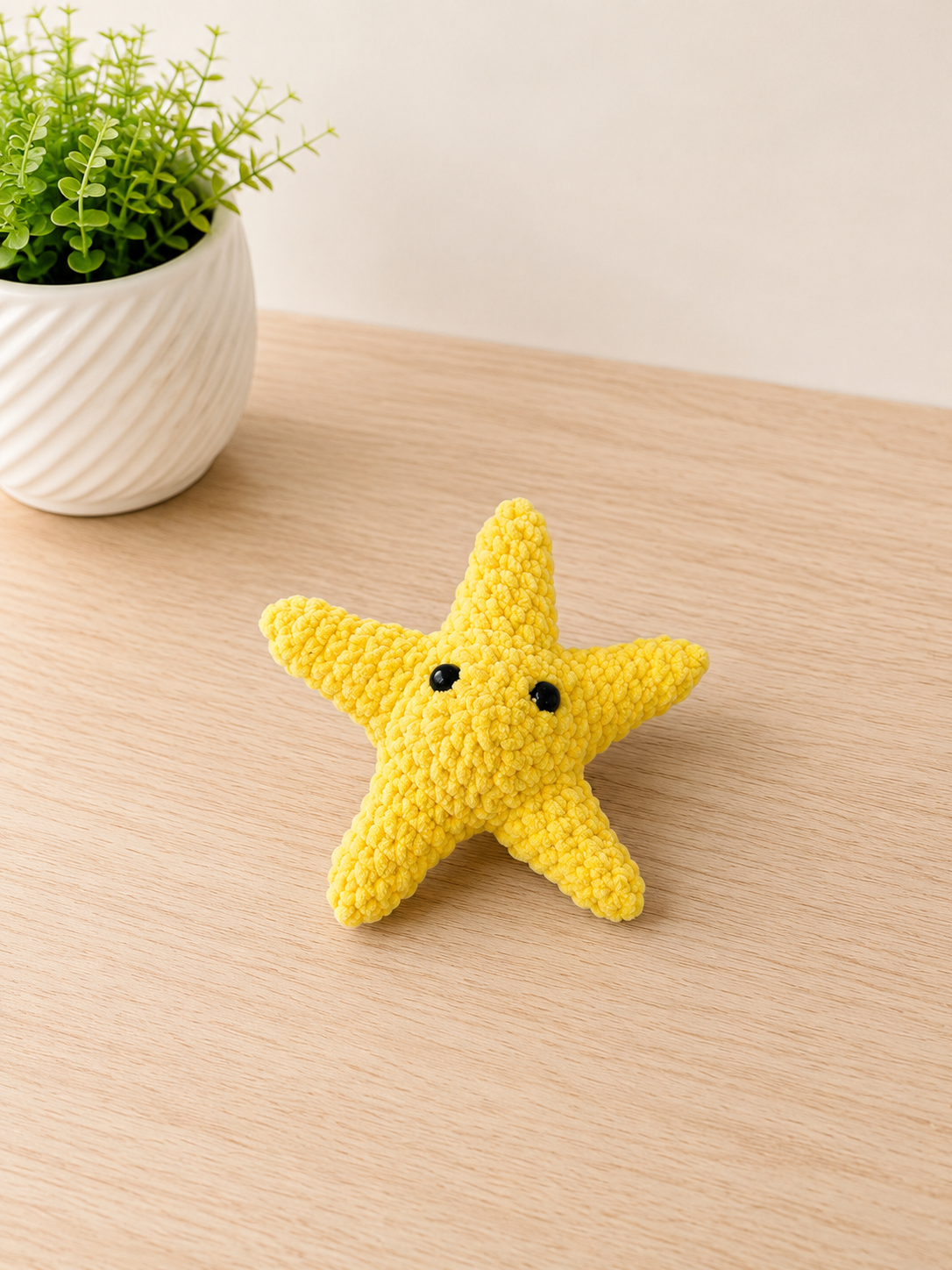 Sunny Seas Sea Stars Collection